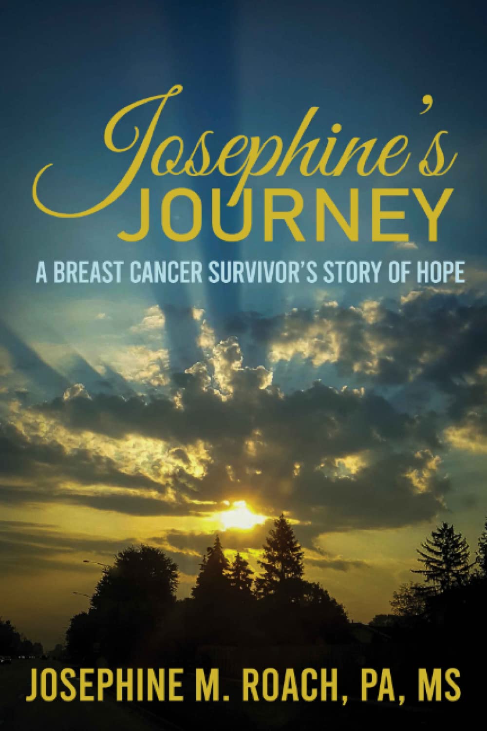 Josephine's Journey Book Cover